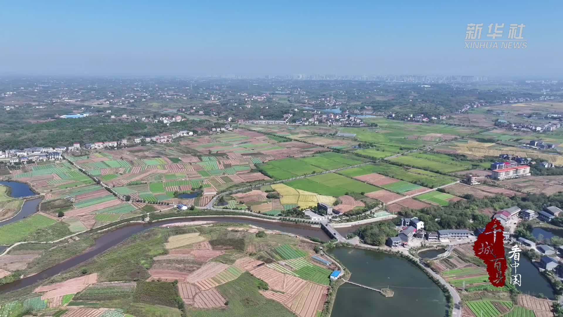 千城百县看中国｜湖南衡阳：一畦秋菜绿 百姓菜篮丰