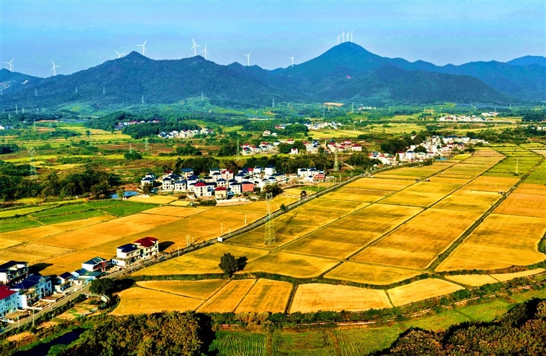 湖口县：丰收在望（图）