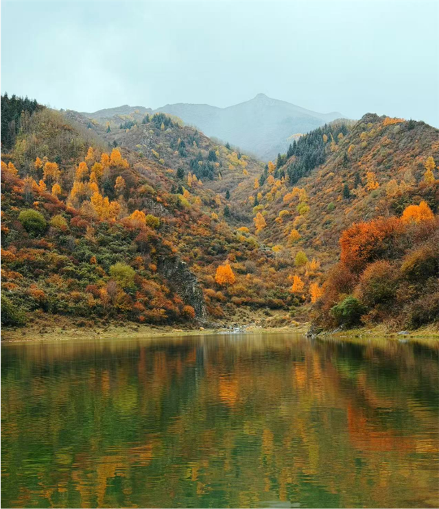 南泥沟（摄影：蒲先生）