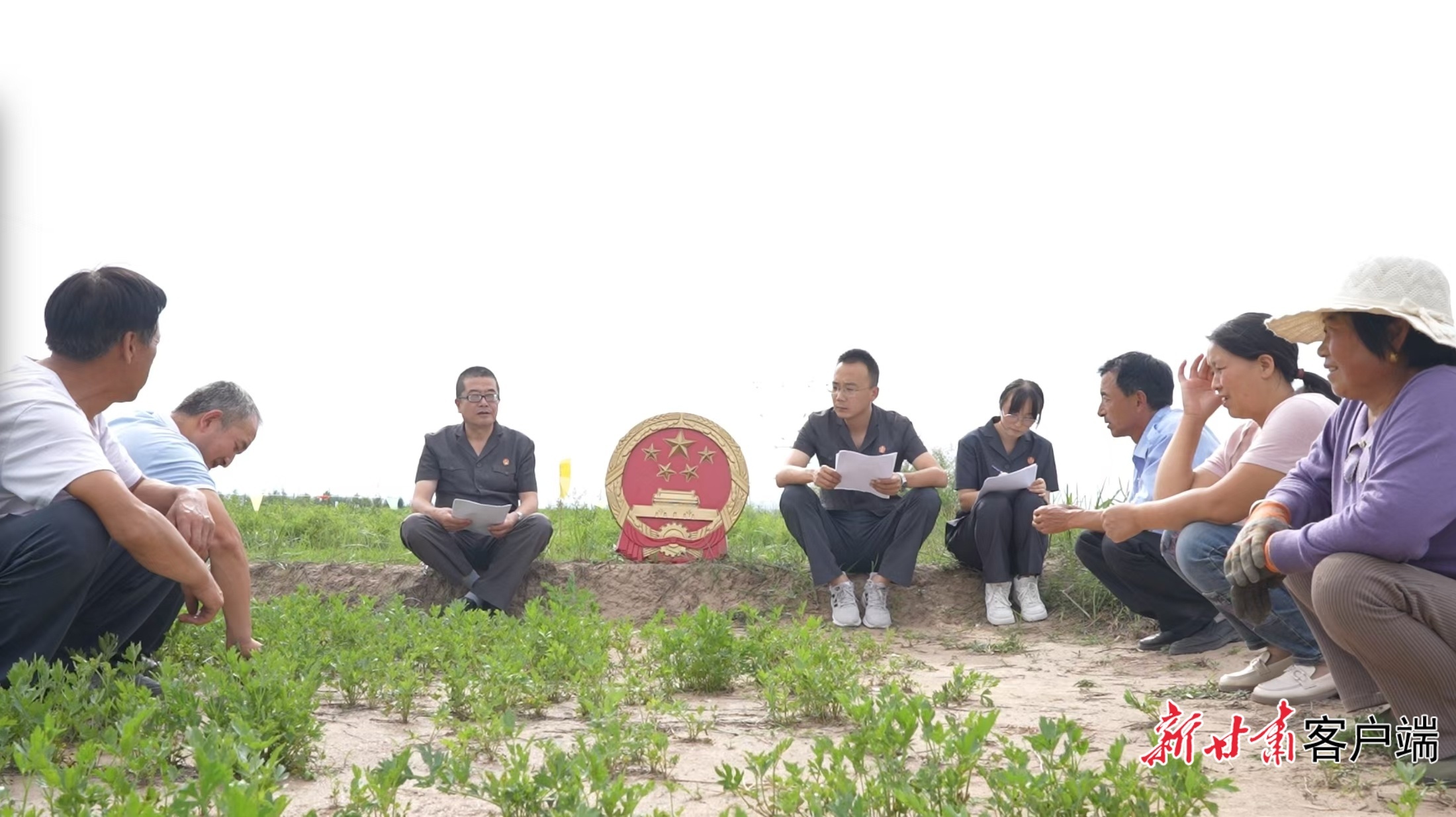 黄芪法庭法官在药田开庭（资料图）