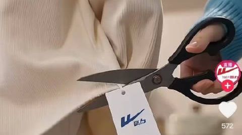 【多品牌“劝说剪吊牌”:借用女装行业热点,为什么挨批评的是男顾客?】