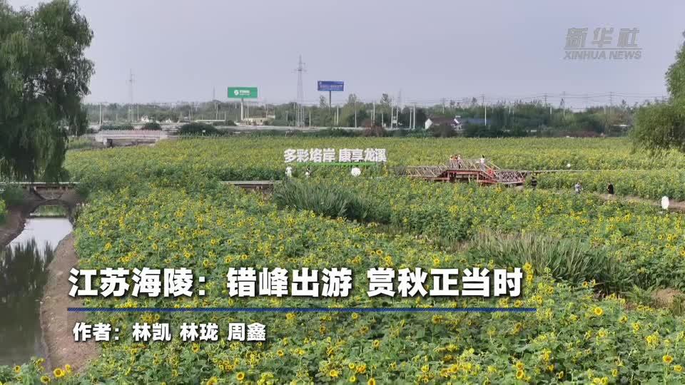 江苏海陵：错峰出游 赏秋正当时