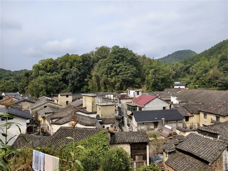 严台村村貌。