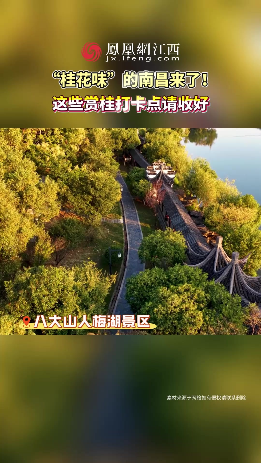 “桂花味”的南昌来了，这些赏桂打卡点请收好