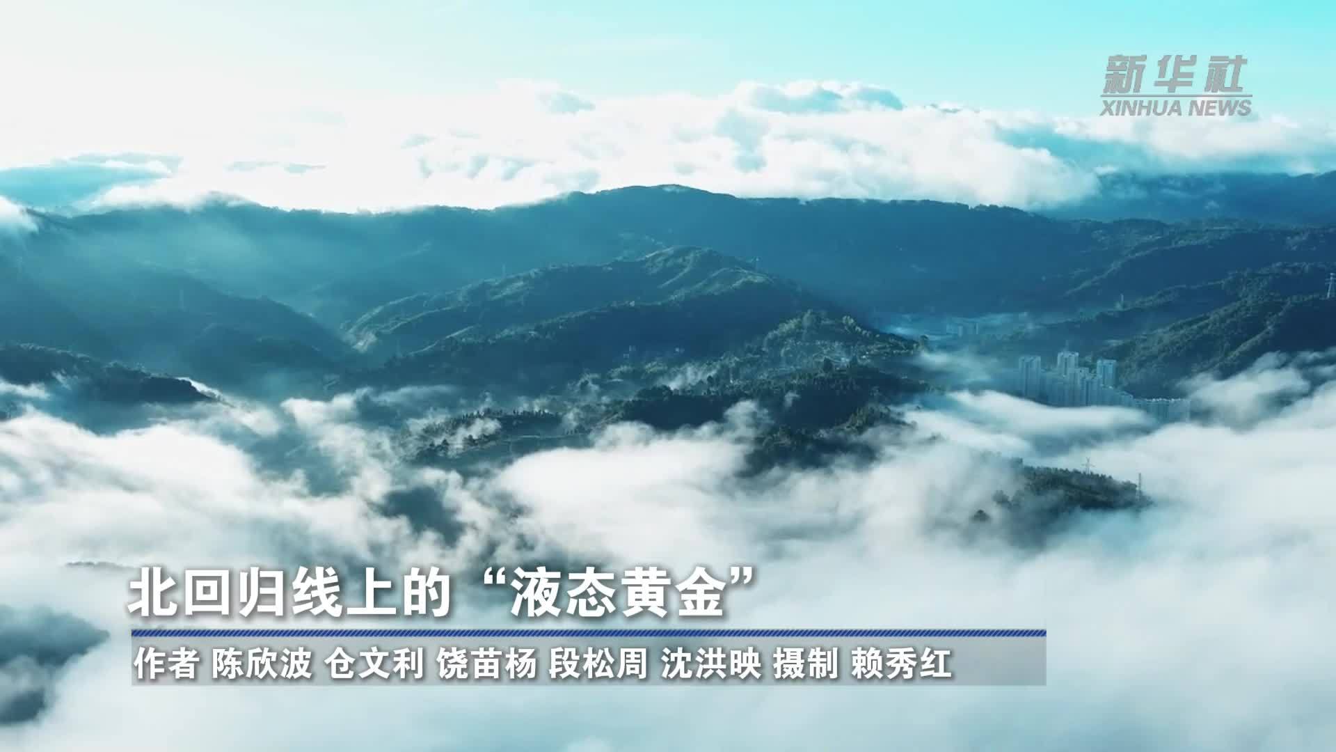 北回归线上的“液态黄金”