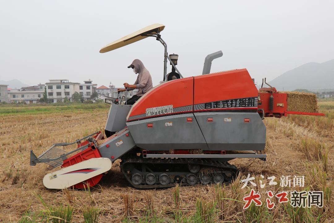 从“一把火”到“一条链”！萍乡湘东秸秆综合利用率达95.76%