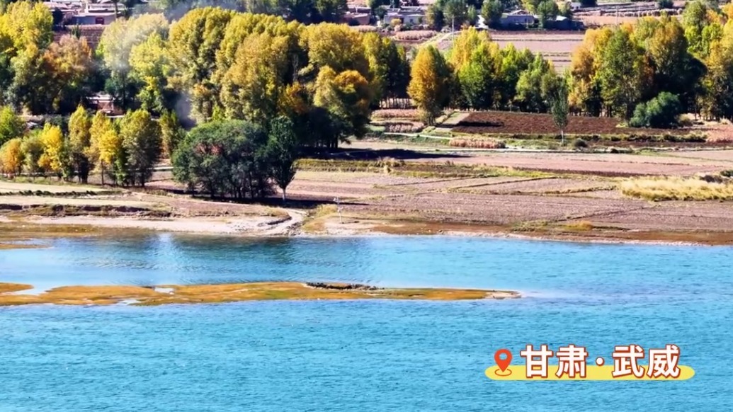 【甘快看】一帧览凉州　河西走廊的秋日限定美景