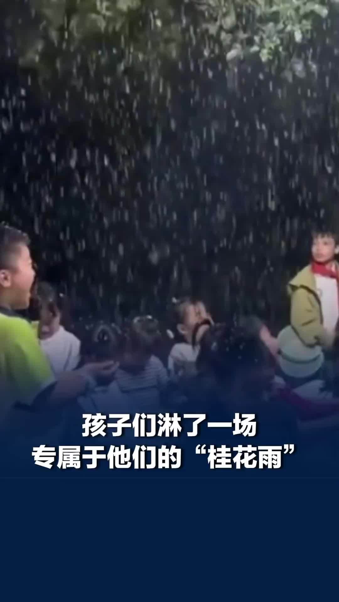 “欲买桂花同载酒，终不似，少年游”，孩子们淋了一场专属于他们的“桂花雨”