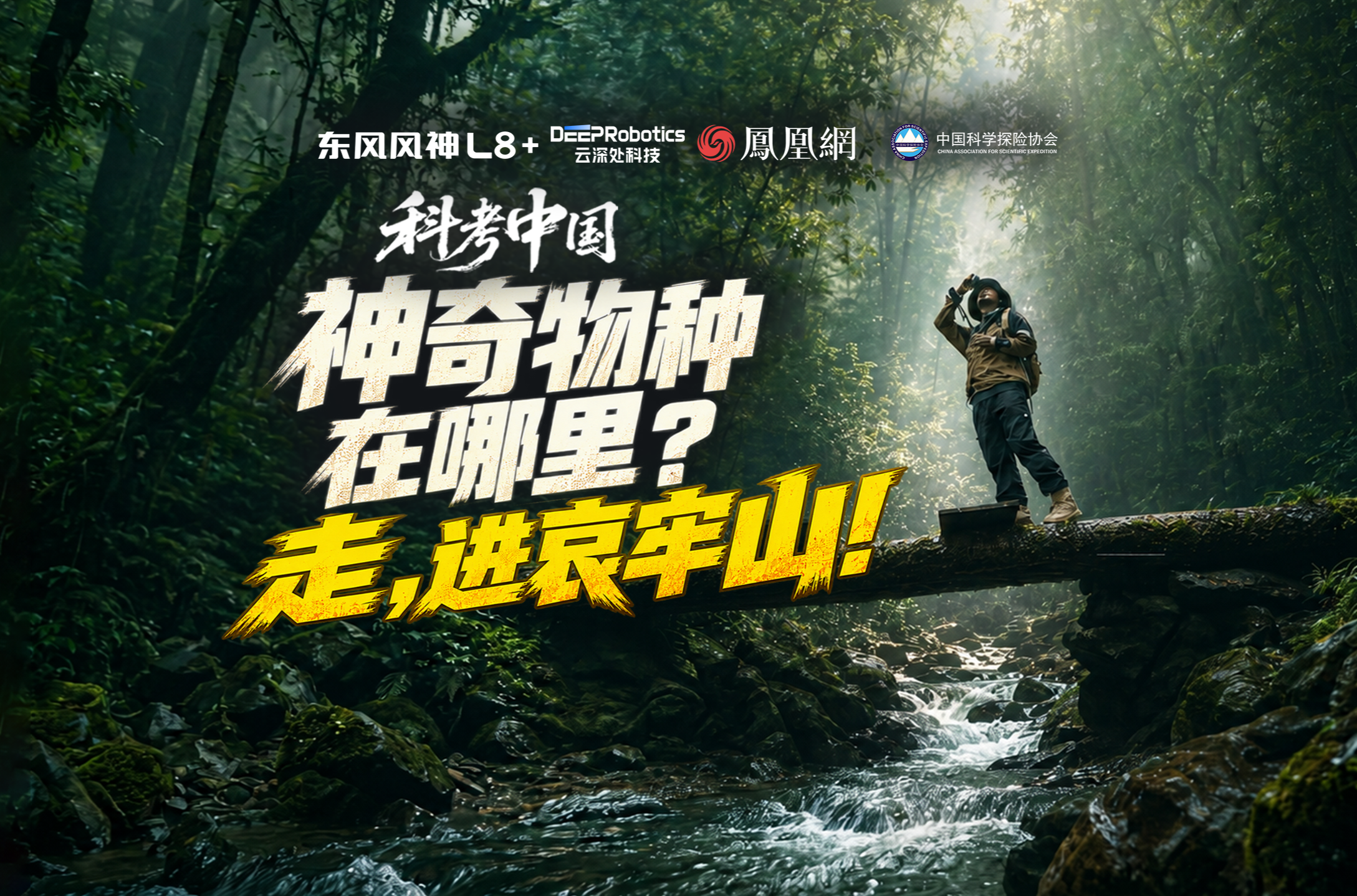 神奇物种在哪里？走，进哀牢山！