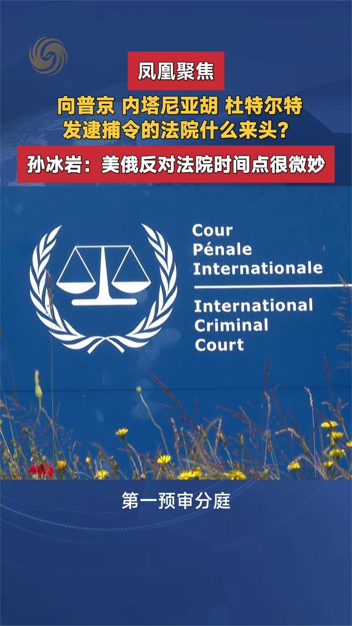 向普京 内塔尼亚胡 杜特尔特发逮捕令的法院什么来头？孙冰岩解读
