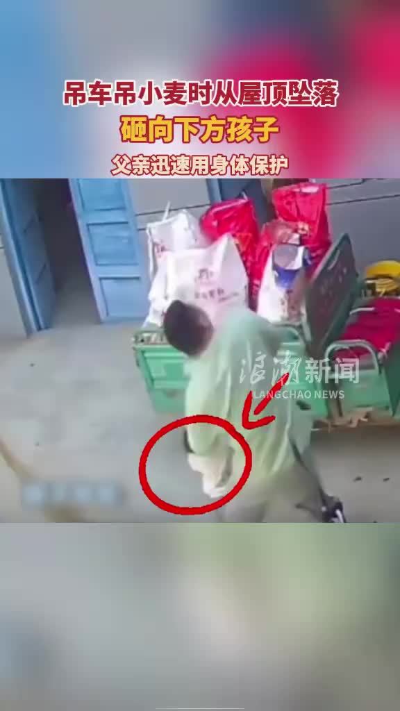 吊车吊小麦时坠落父亲迅速护住孩子