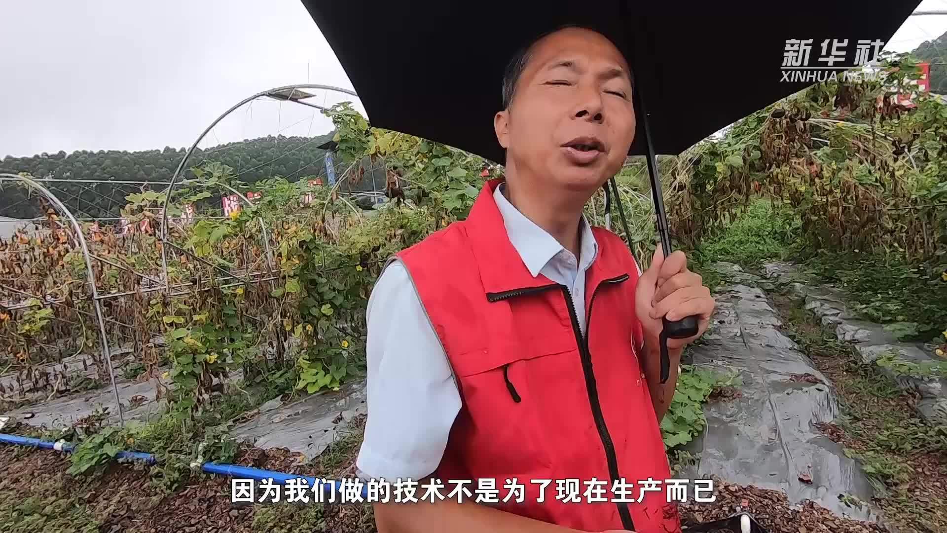 平陆运河边有个菜园子