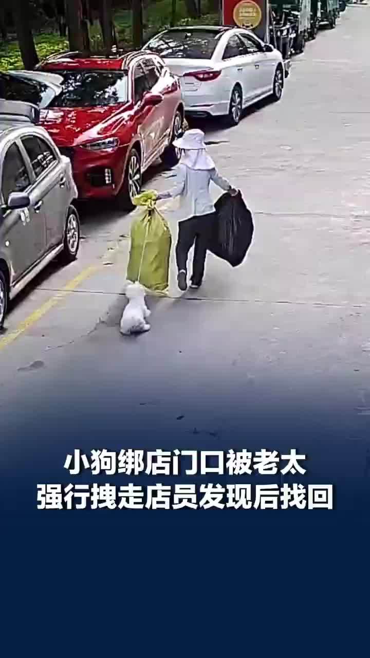 小狗绑店门口被路过老太强行拽走，店员发现后及时追回