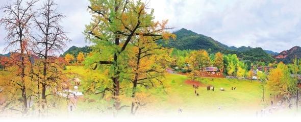 徽县嘉陵镇田河村 詹江 摄