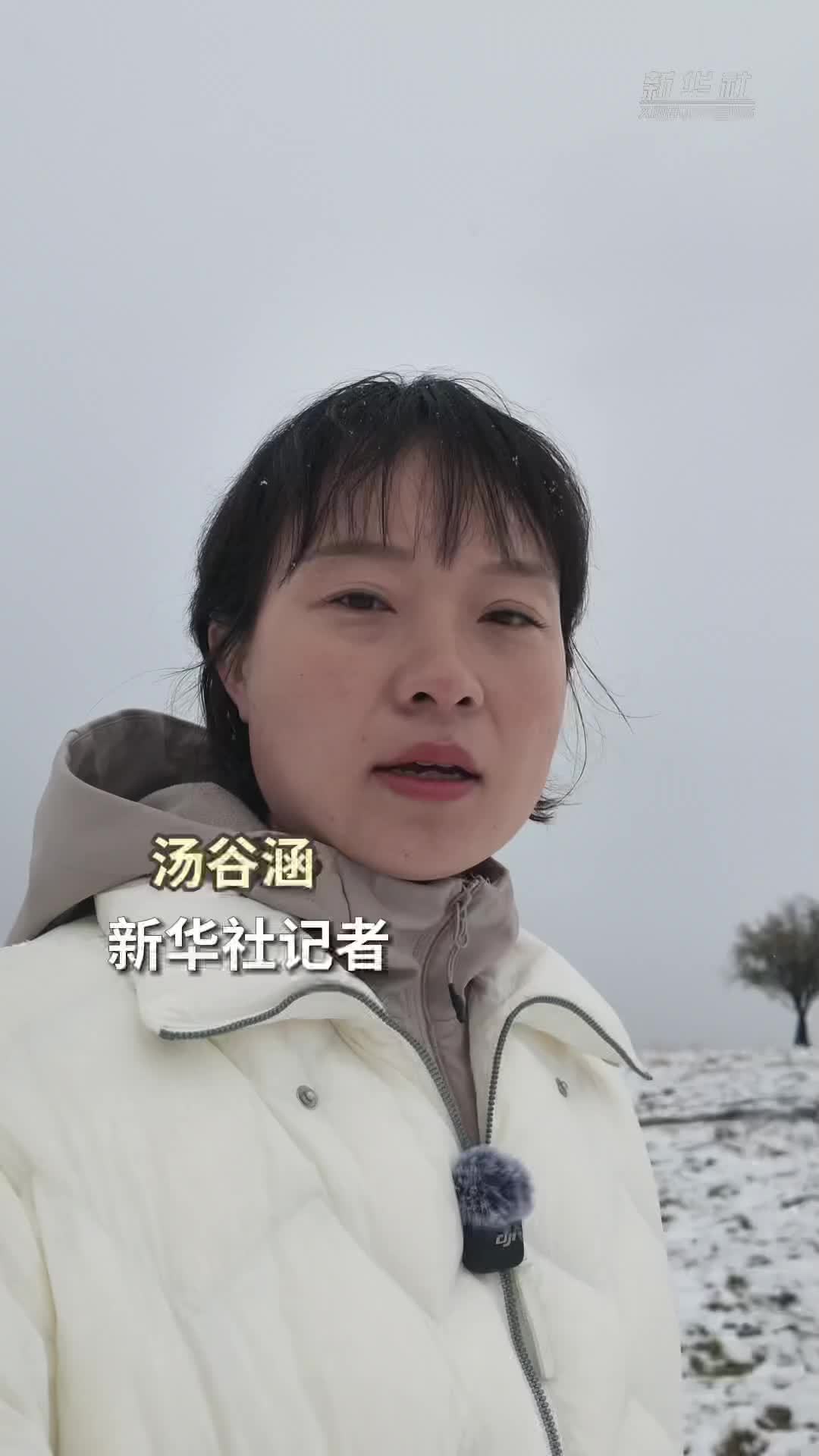 赓续长征精神 奋进复兴征程｜草地依旧辽阔 人间已换新颜