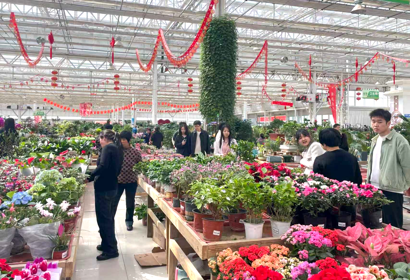 市民在花卉市场选购鲜花