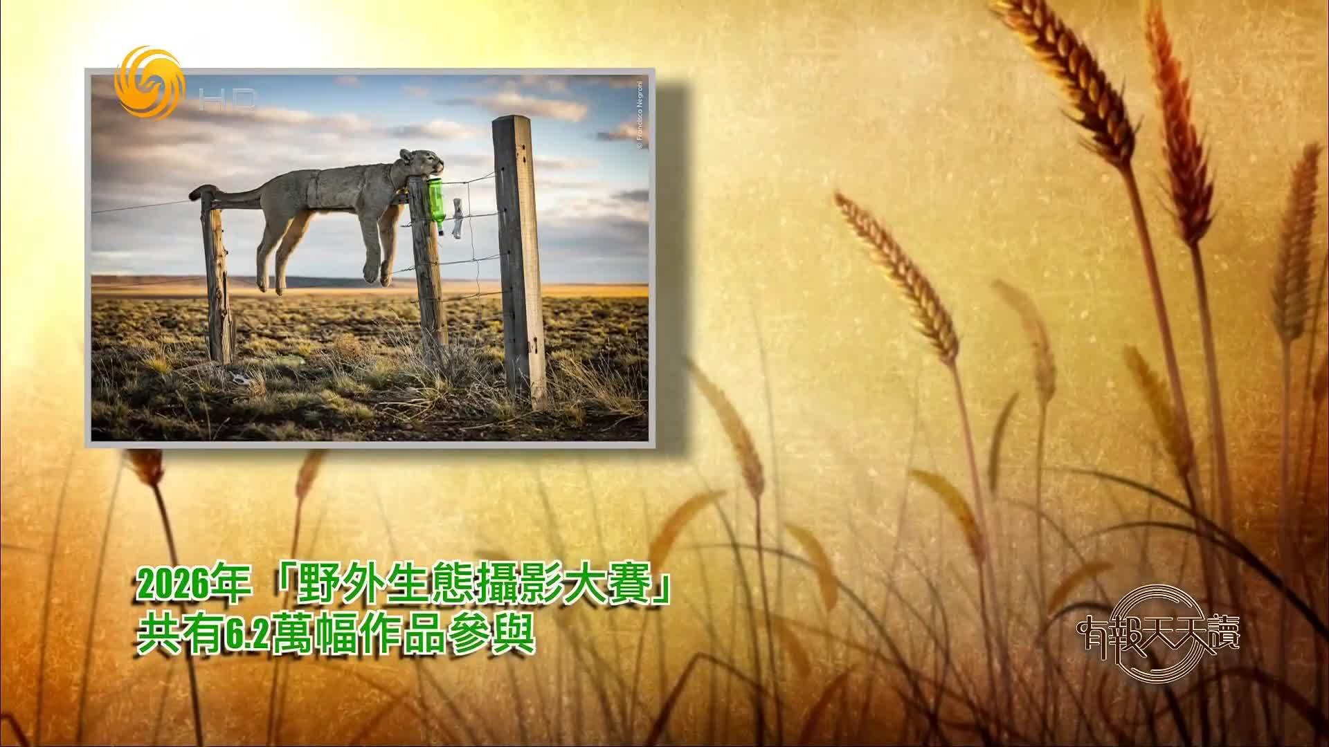 10月16日大千世界