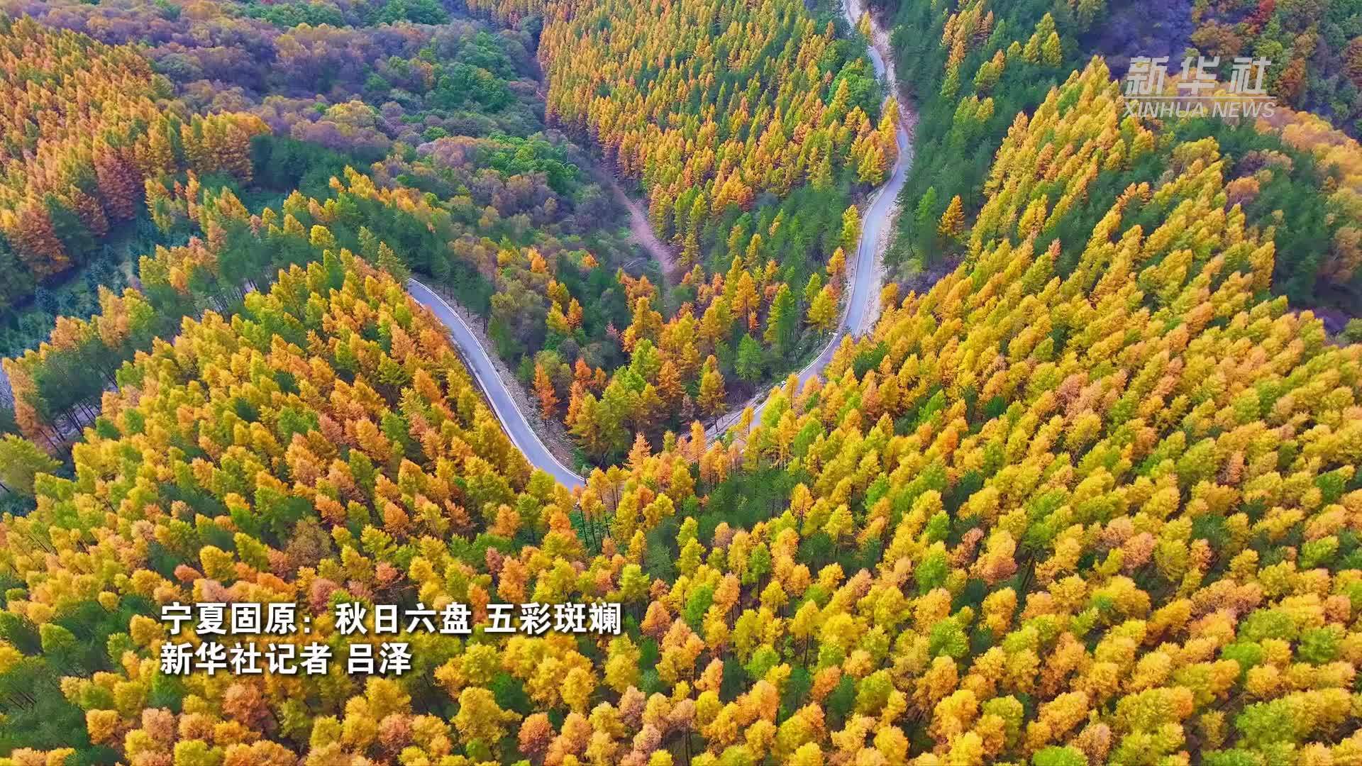 宁夏固原：秋日六盘 五彩斑斓