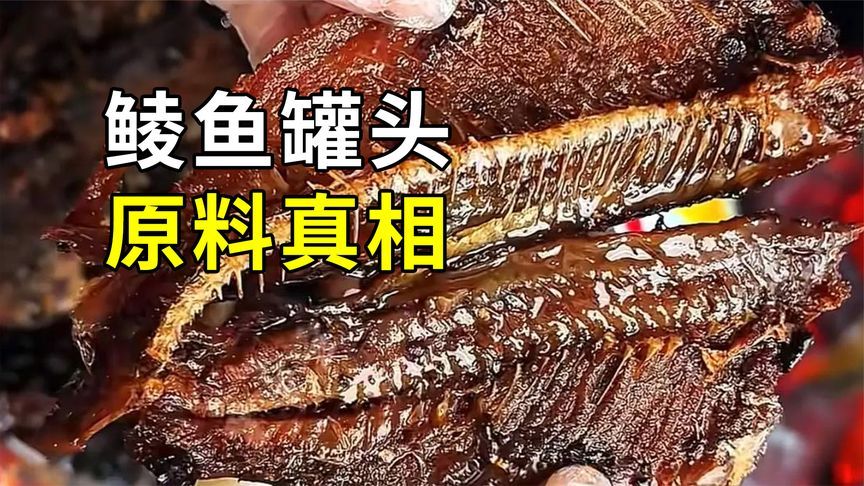 鲮鱼罐头的秘密，土鲮养殖大开眼界