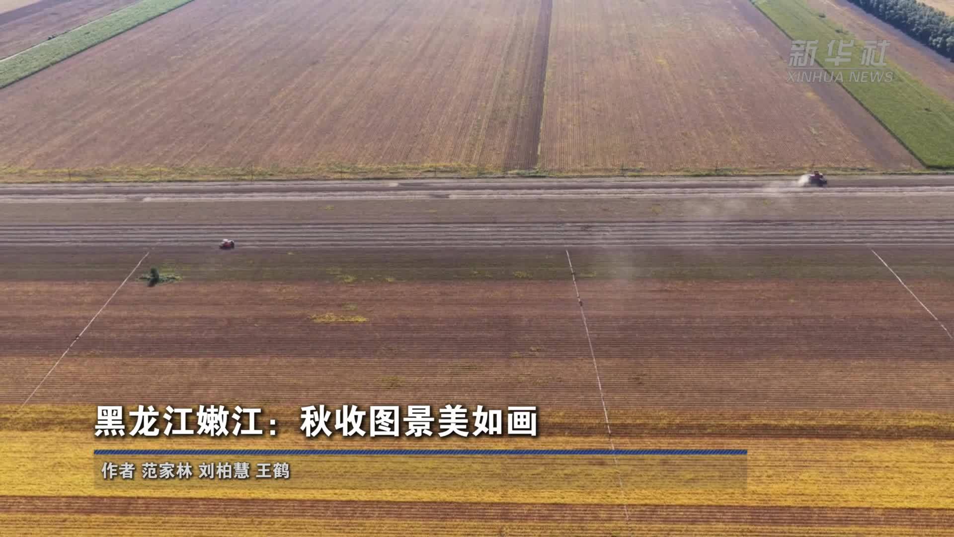 黑龙江嫩江：秋收图景美如画