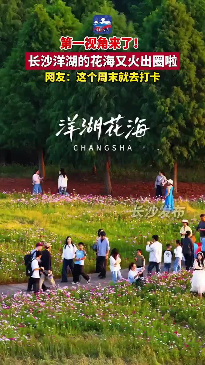 长沙洋湖的花海又火出圈啦