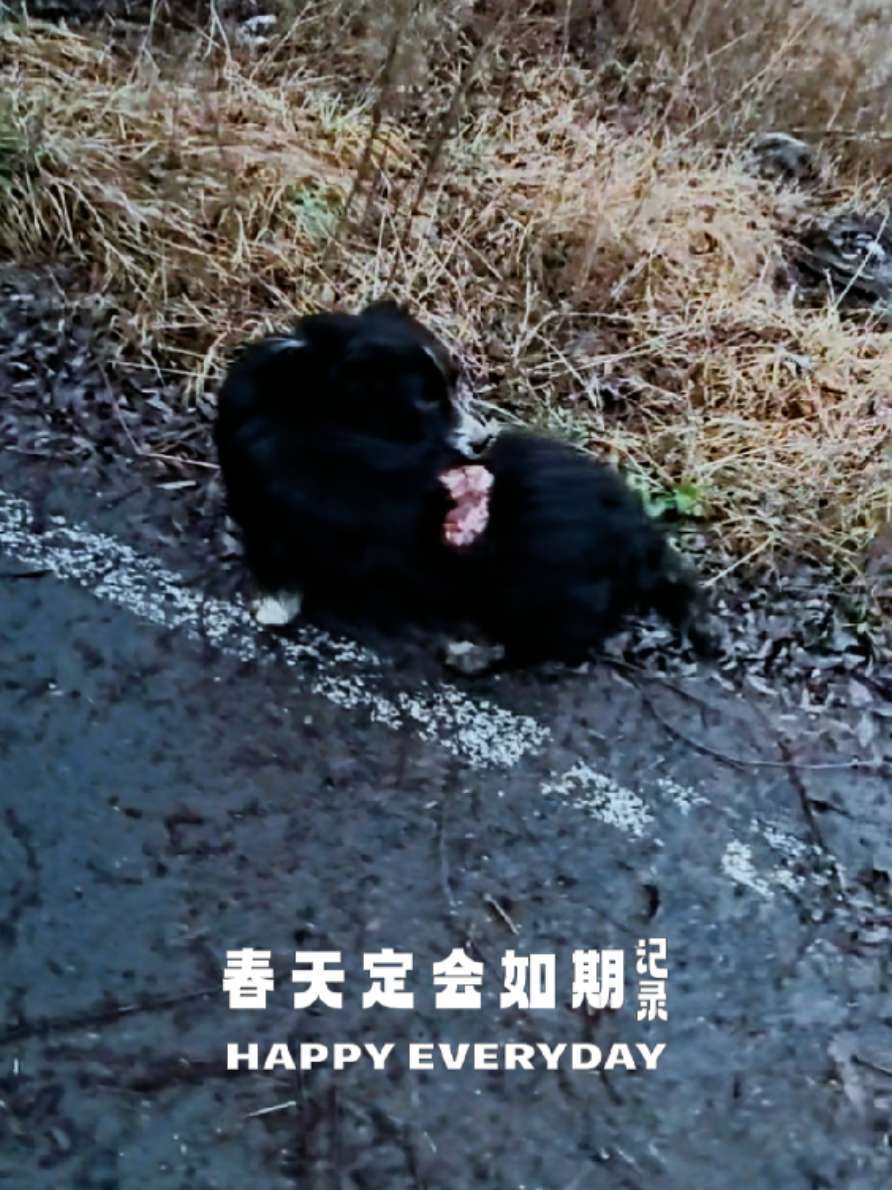 #卢宇光 #现场版live