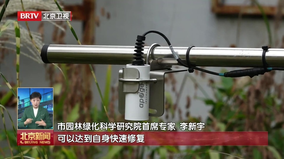 更好适应气候变化 北京试点推广“韧性花园”