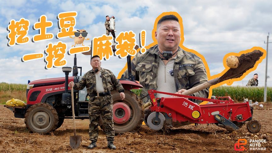 挖了一天土豆，胖哥腰酸了，脸也丢尽了