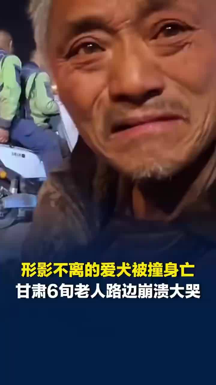 爱犬被撞身亡拾荒老人路边大哭，拾荒老人爱犬被撞死网友捐款送物资