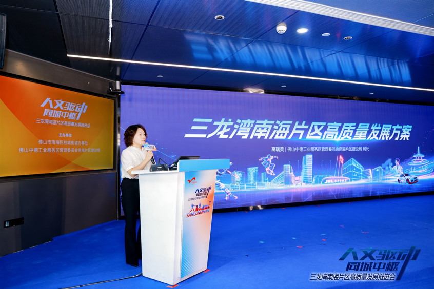 三龙湾南海片区高质量发展大会现场