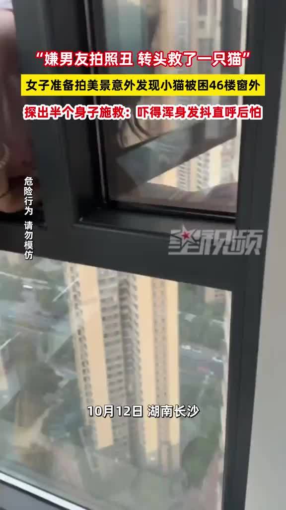 嫌男友拍照丑 转头救了一只猫