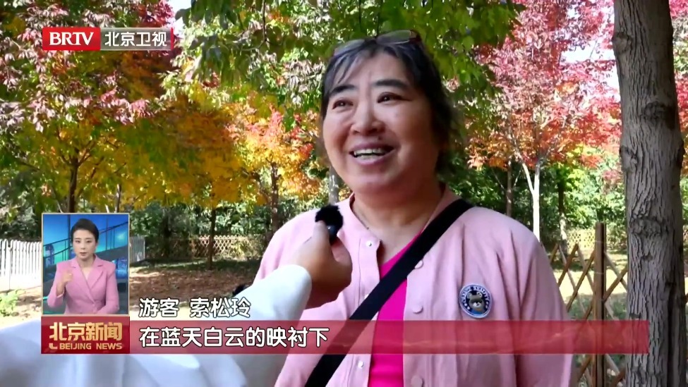 西山国家森林公园红叶节开幕