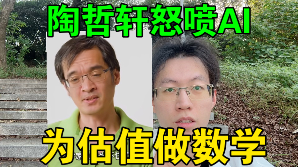 【菲尔兹奖得主，陶哲轩，怒喷AI】做数学题不过是为了拉高估值