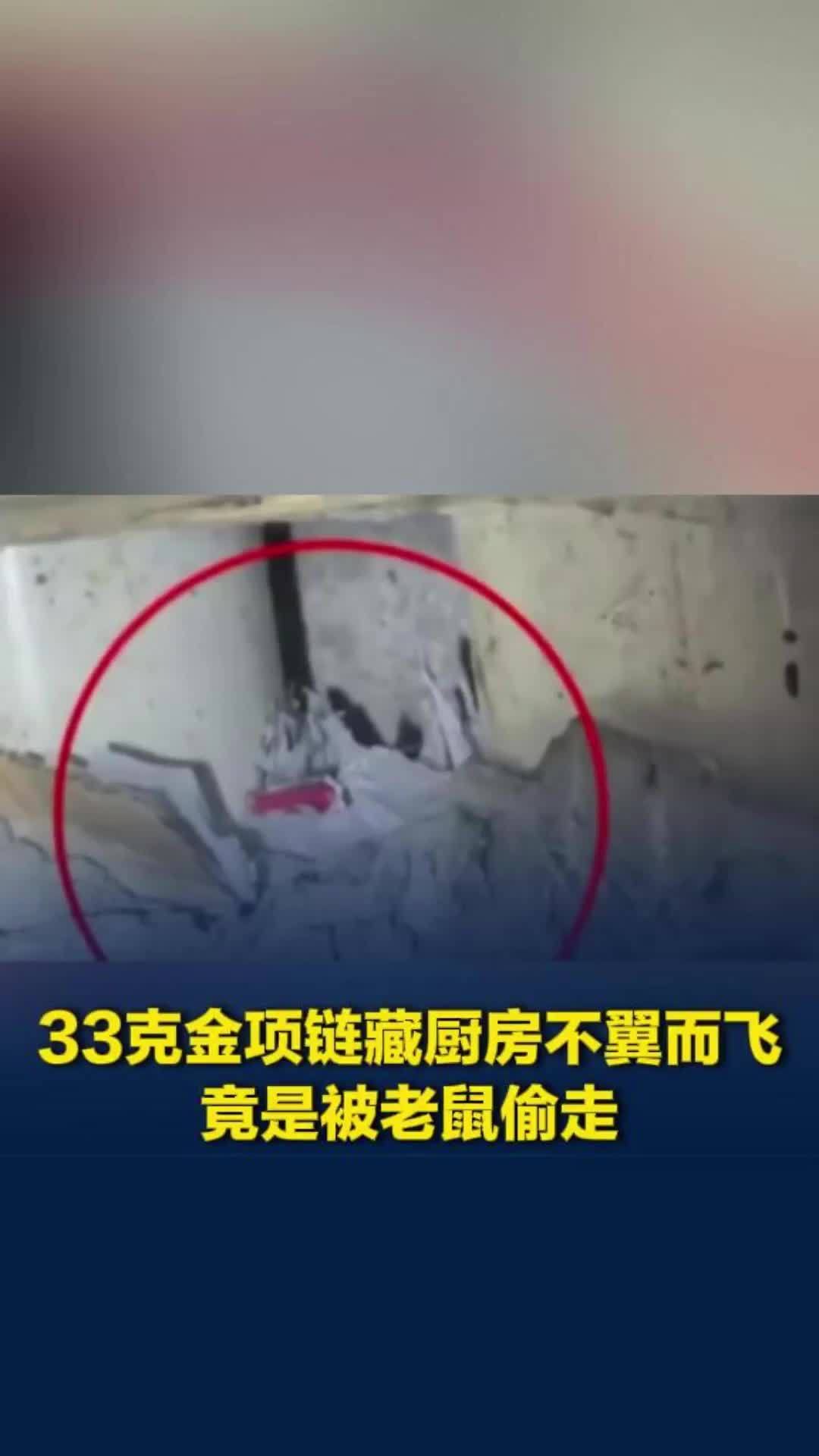 33克金项链藏厨房不翼而飞，警察破案竟是被老鼠“偷”走