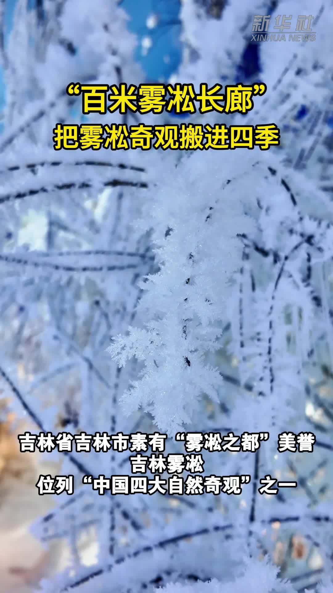 美丽中国行｜“百米雾凇长廊”把雾凇奇观搬进四季