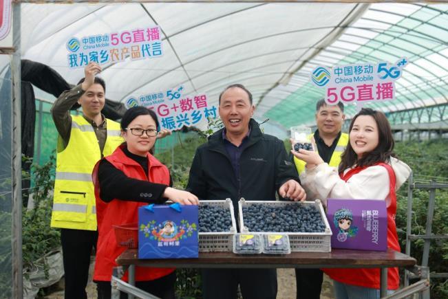 蓝莓丰收季,中国移动志愿者走进田间地头,通过直播带货助力农户拓宽销路。安徽移动供图