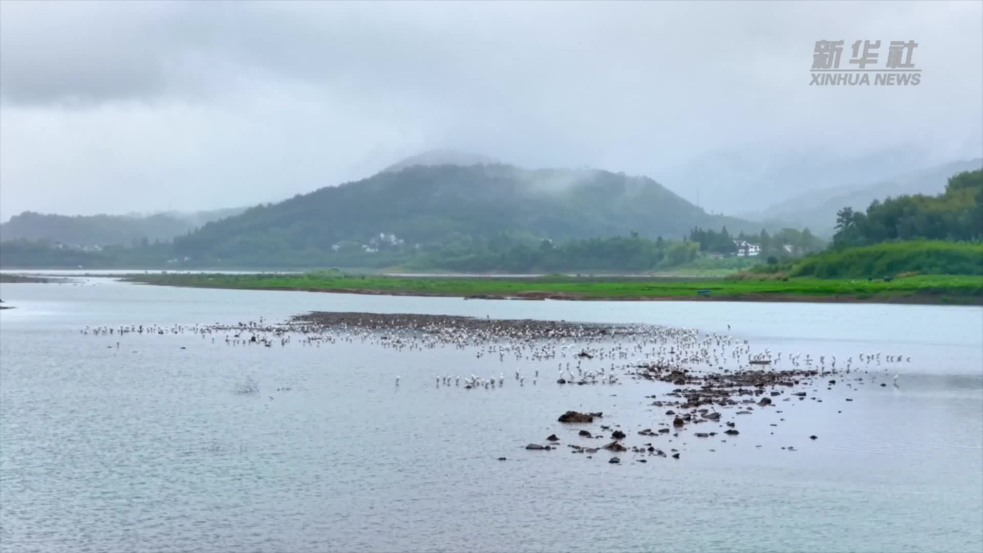 一湖澄澈迎候鸟 千点鹭影映青山