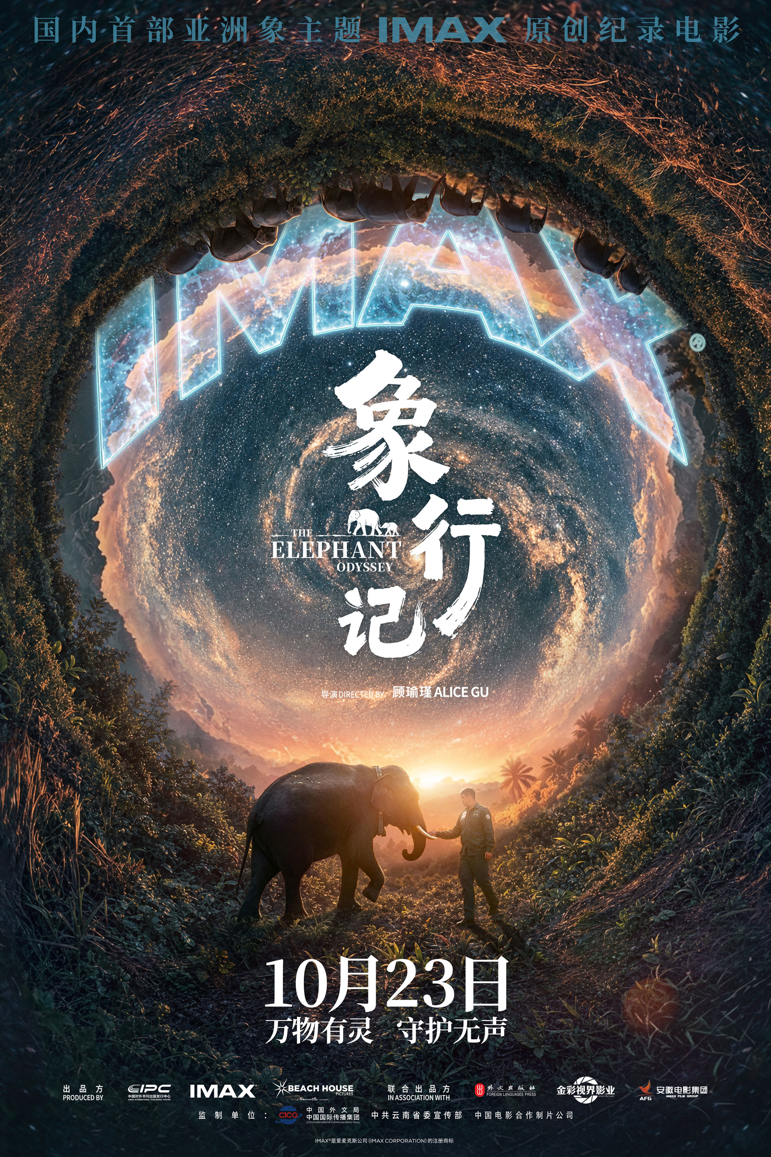《象行记》预售开启：聚焦亚洲象，IMAX深化原创纪录电影探索