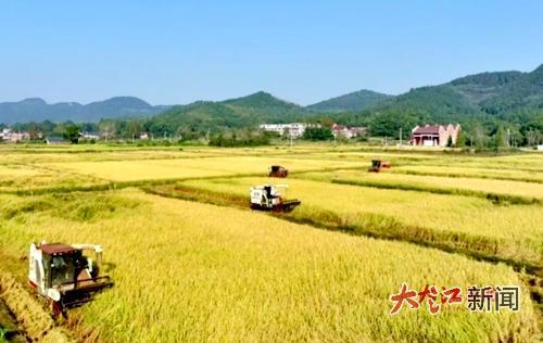 前三季度 新余市农业农村发展稳中向好