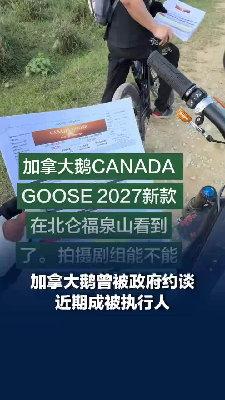 加拿大鹅曾被约谈