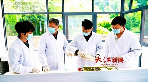 工作人员在为候鸟做检测（徐镇镇摄影）