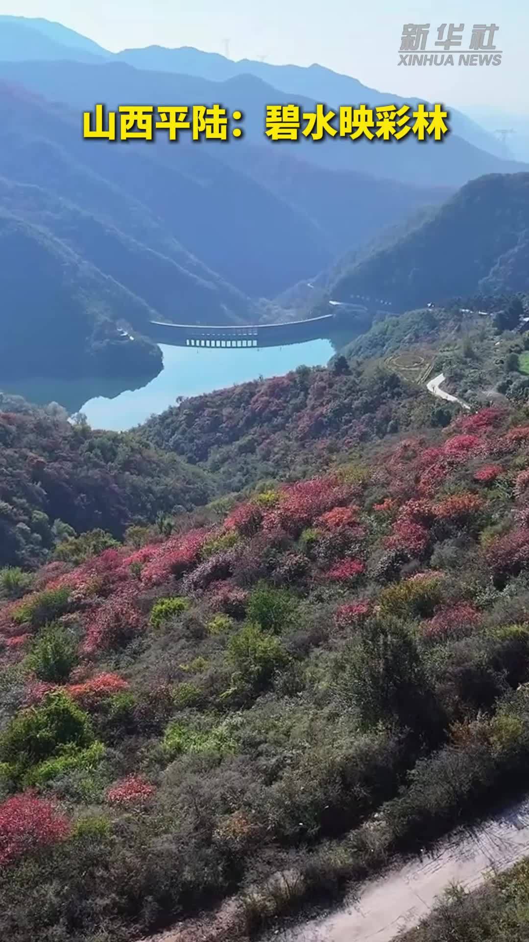 山西平陆：碧水映彩林