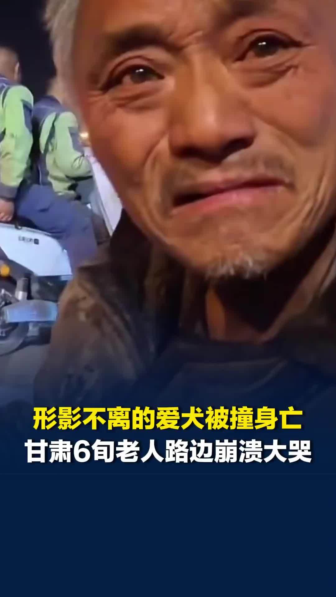 形影不离的爱犬被撞身亡，甘肃6旬老人路边崩溃大哭，爱心人士事后探望转交网友捐款
