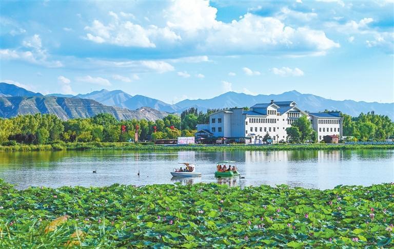 白银市水川黄河湿地