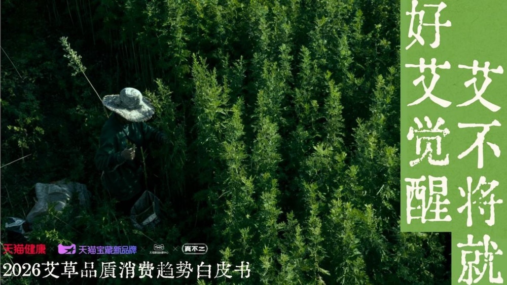 《2026艾草行业品质消费趋势白皮书》发布,“好艾”走进消费者的秋冬养生生活