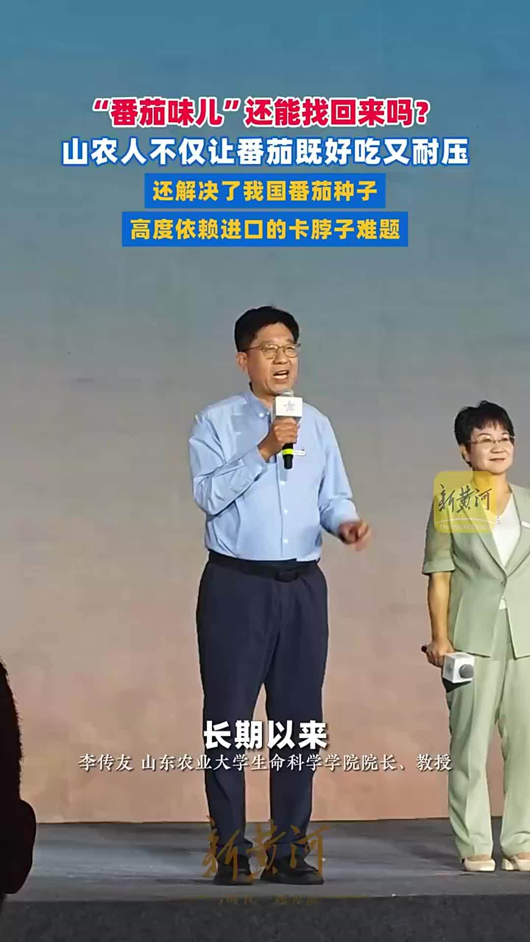 山农人不仅让番茄既好吃又耐压，还解决了我国番茄种子高度依赖进口的“卡脖子”难题|青春华章·强农报国