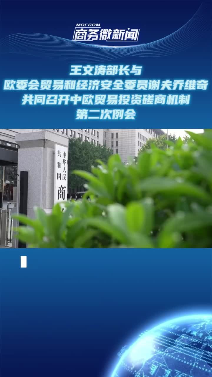 视频|王文涛部长与欧委会贸易和经济安全委员谢夫乔维奇共同召开中欧贸易投资磋商机制第二次例会