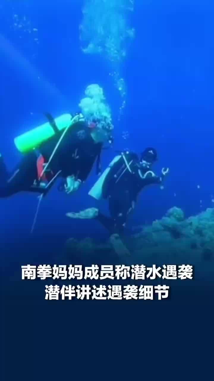 南拳妈妈成员潜水遇袭潜伴发声，南拳妈妈成员遇袭潜伴称被攻击3次