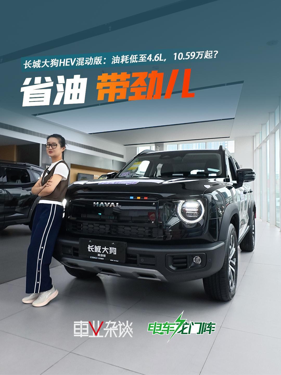 长城大狗HEV混动版来了！方盒子终于有了平价HEV四驱