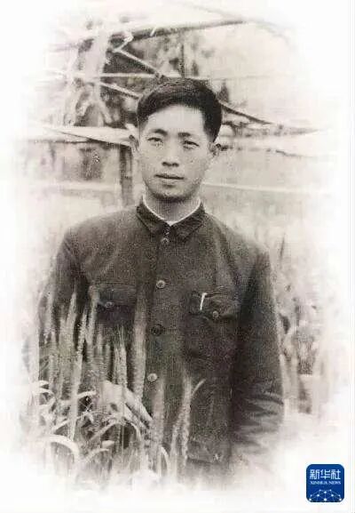 青年袁隆平